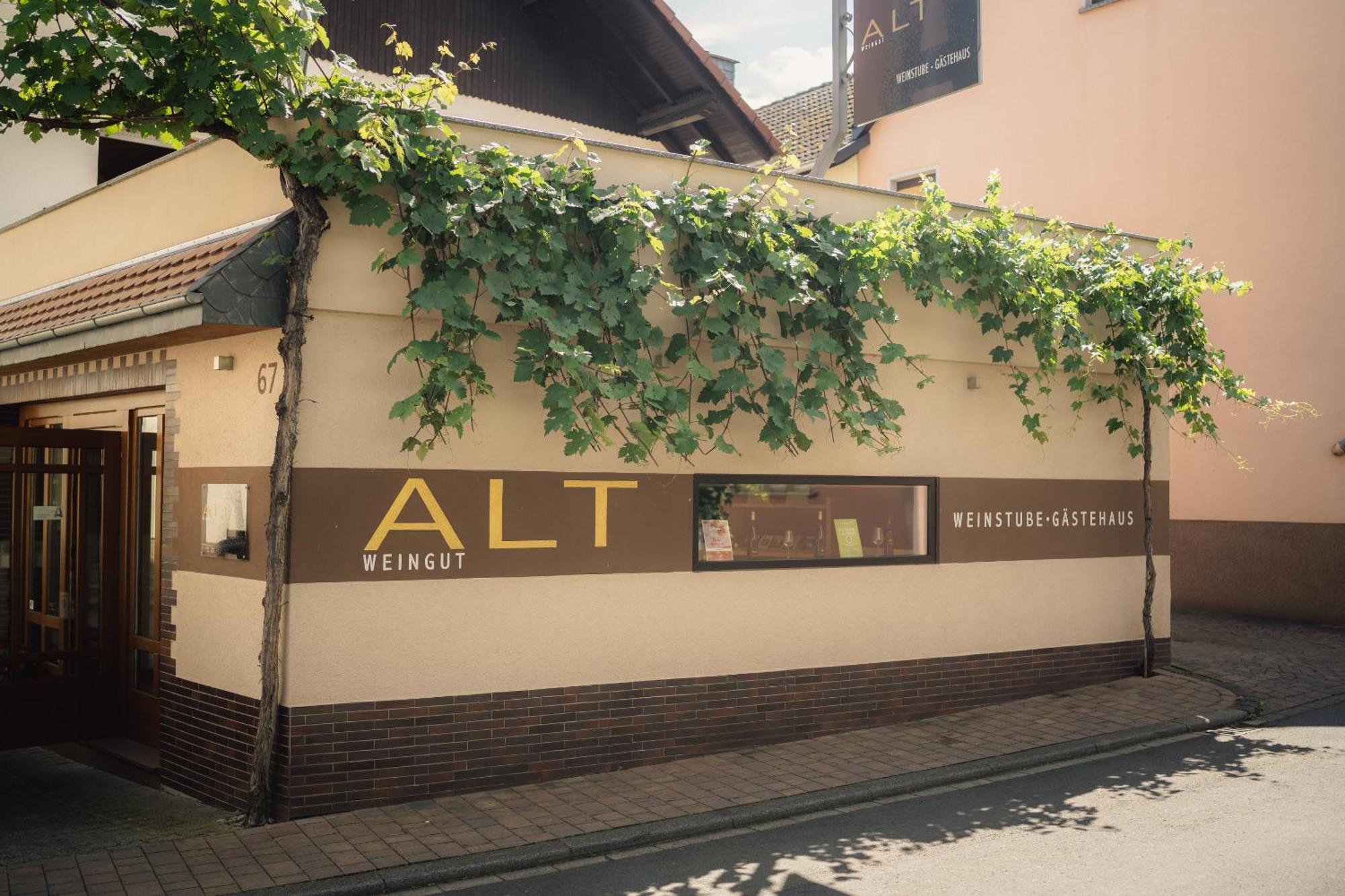 Weingut Und Gaestehaus Holger Alt Monzingen 외부 사진