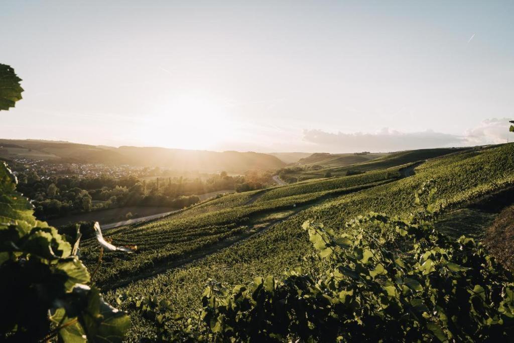 Weingut Und Gaestehaus Holger Alt Monzingen 외부 사진
