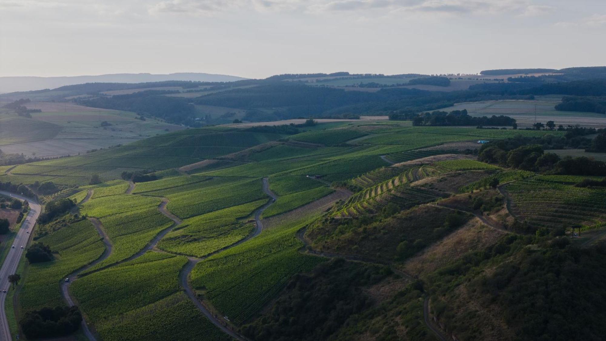 Weingut Und Gaestehaus Holger Alt Monzingen 외부 사진