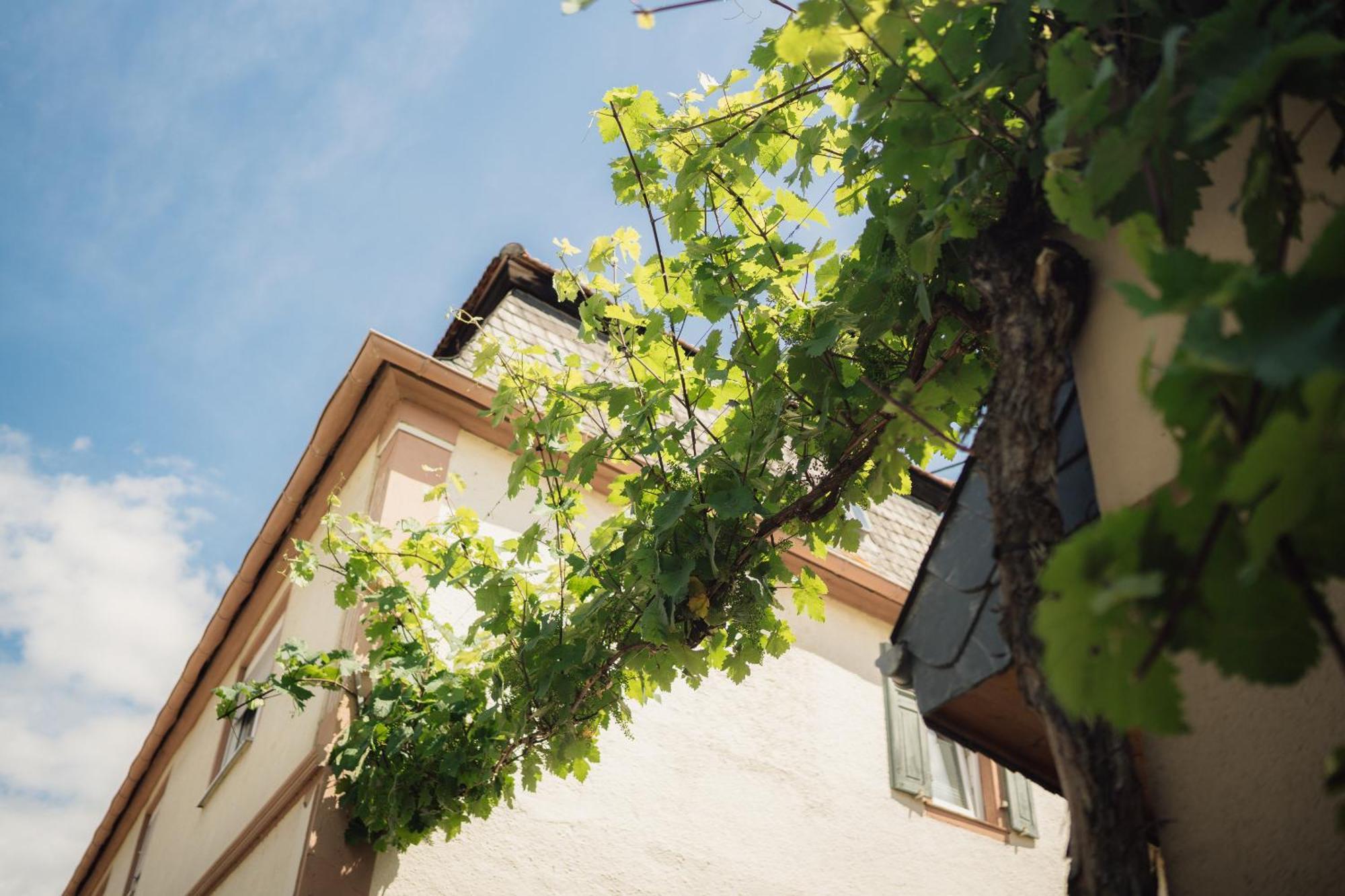 Weingut Und Gaestehaus Holger Alt Monzingen 외부 사진